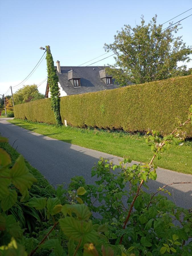La P'Tite Maison Bordeaux-Saint-Clair المظهر الخارجي الصورة